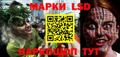 apvp Тверь